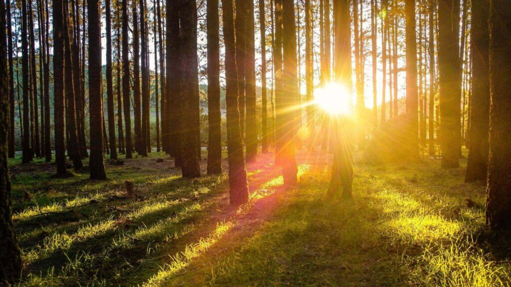 Sheltertur i Danmark 2021 tips og tricks
